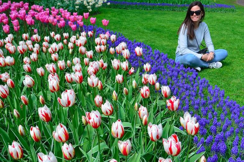 lauraholanda