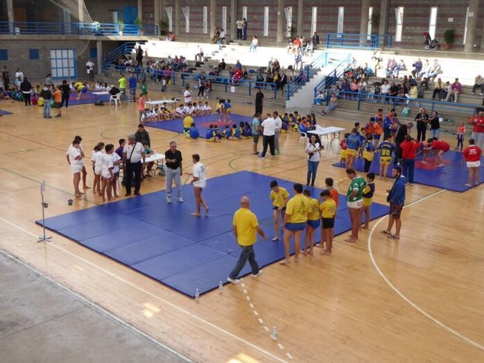 Juegos Insulares de Lucha Canaria
