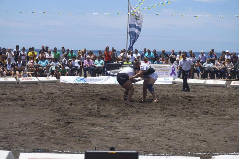 Luchada Institucional 2018