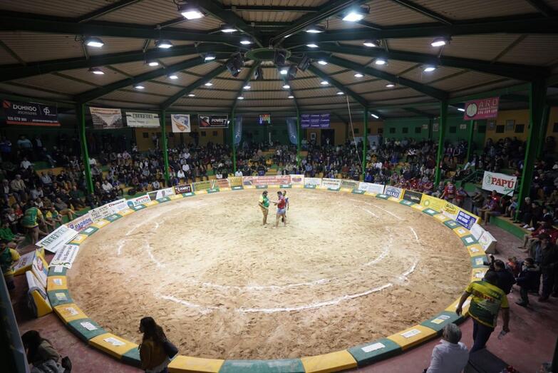 terreromunicipalgaldar