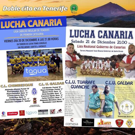 cartellucha20122019