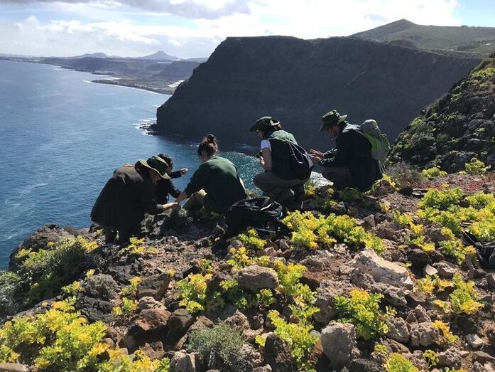 Recogida de muestrasjpg