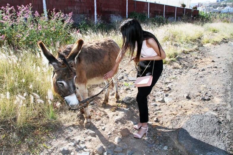 Platero y yo