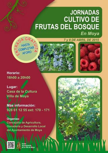 bosquemoya
