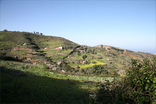 parqueruraldoramas
