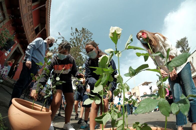 aniversariotomasmorales