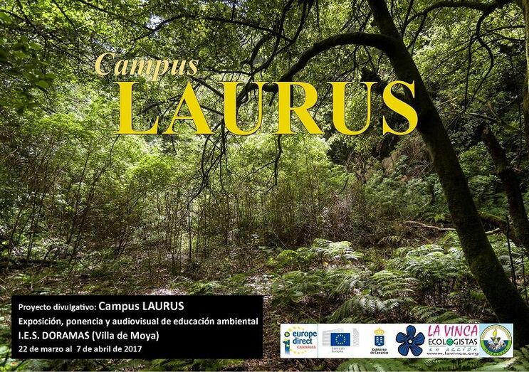 laurus