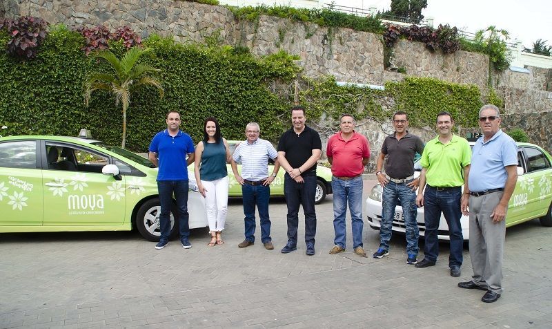 taxis8