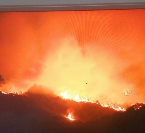 incendiofontanales 2