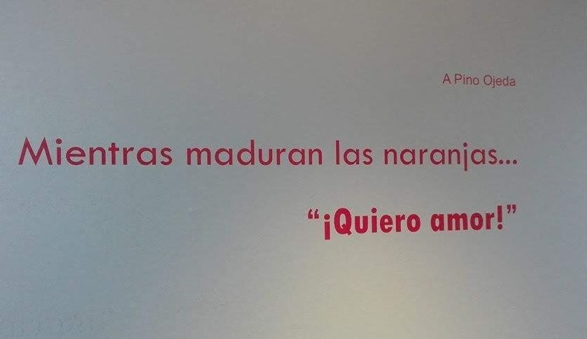 Exp Mientras maduran las naranjas 2