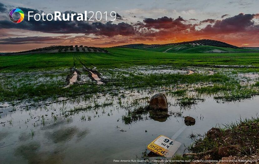 FotoRural2019 premio ENESA foto alta