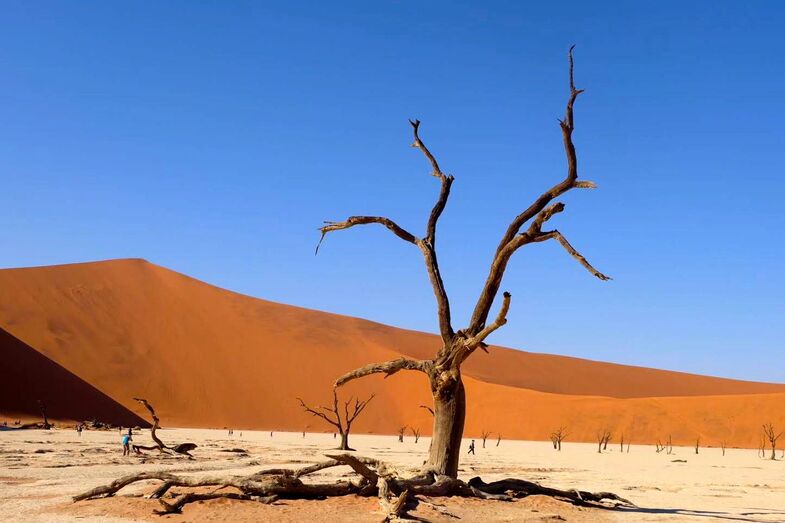 82ebe3cb 9459 4a4a a15c 5dce4f6661e0