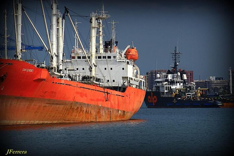 Buscando la lecturajpg