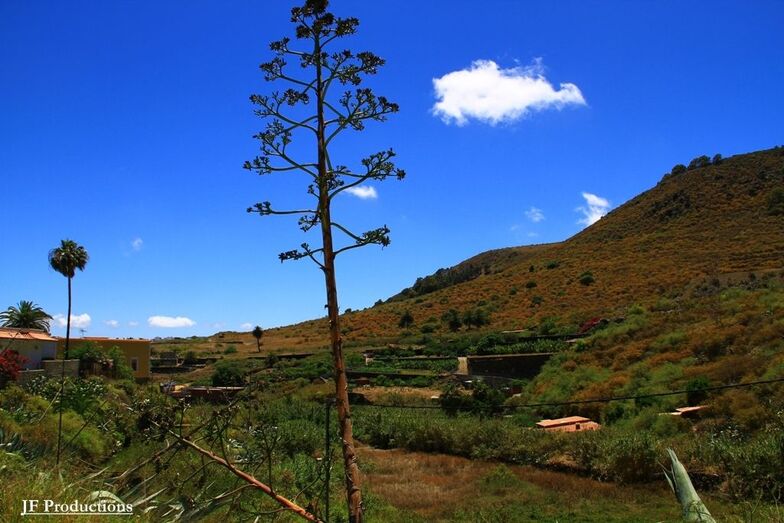 El silencio de la Naturaleza