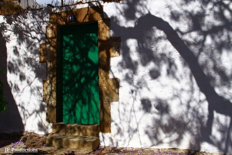 La sombra de la Jacaranda