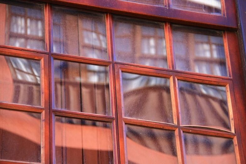 Libertad de Expresión