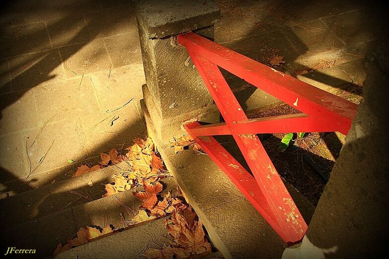 El otoño en el parque