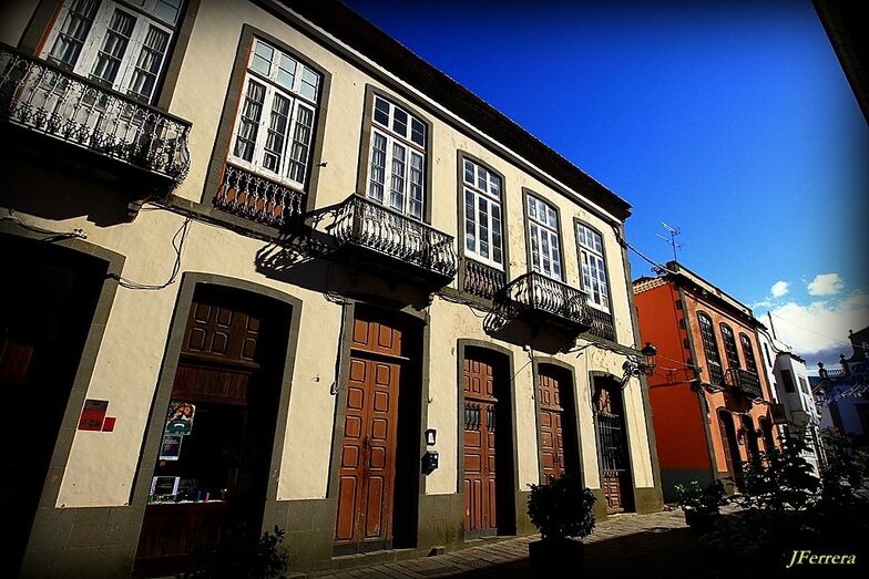 542. la vida cotidiana