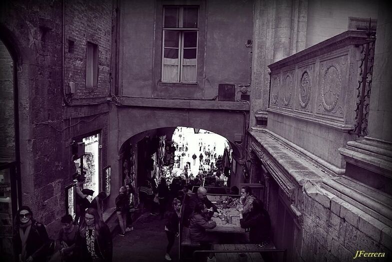 576. Camino a la luz