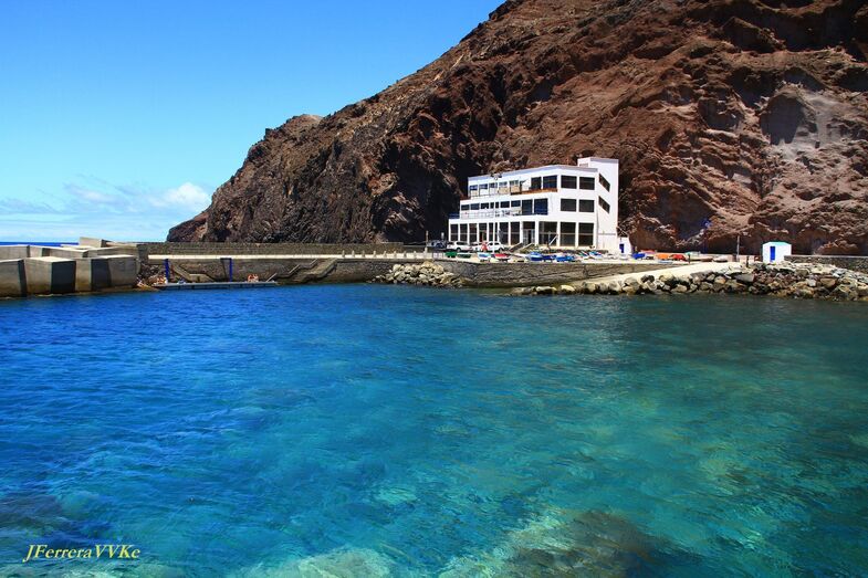 641. Sardina del NorteA