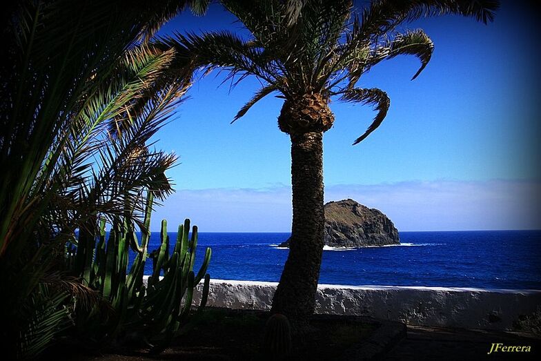 En los mares del sur