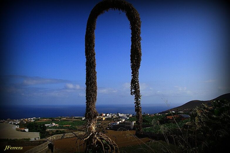 La curva de la Naturaleza