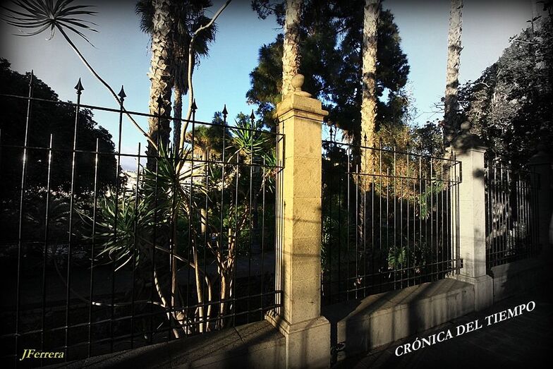 74. Crónica3