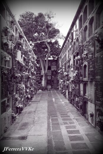 92. Cementerio