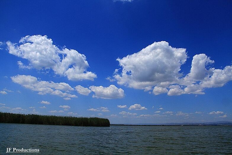 La Albufera
