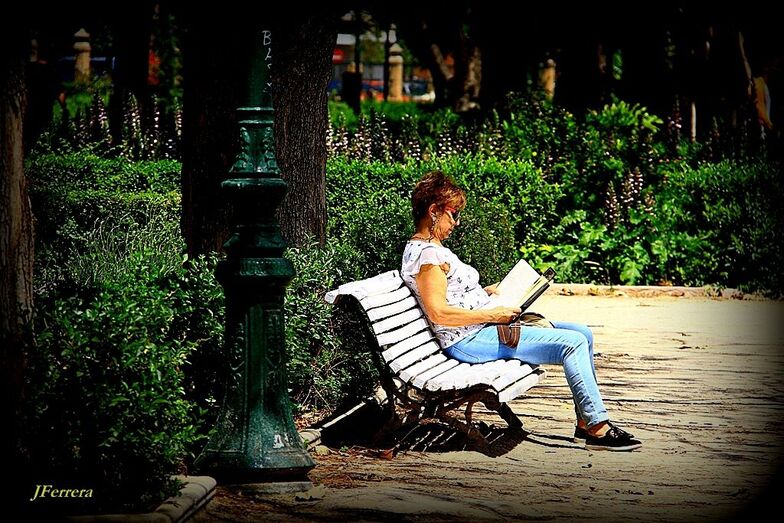 Lectora en el parque