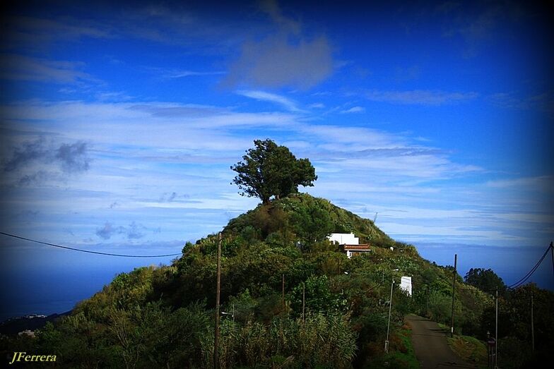 5. Al final del camino