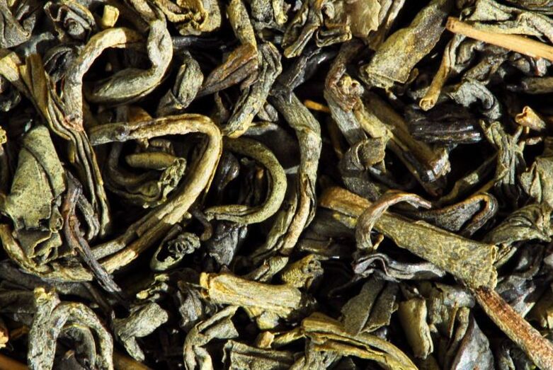 Camellia sinensis 0003 3