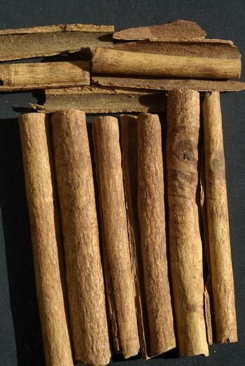 Cinnamomum zeylanicum 453