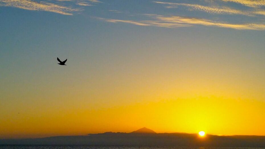 alaspersonasquesefueron2