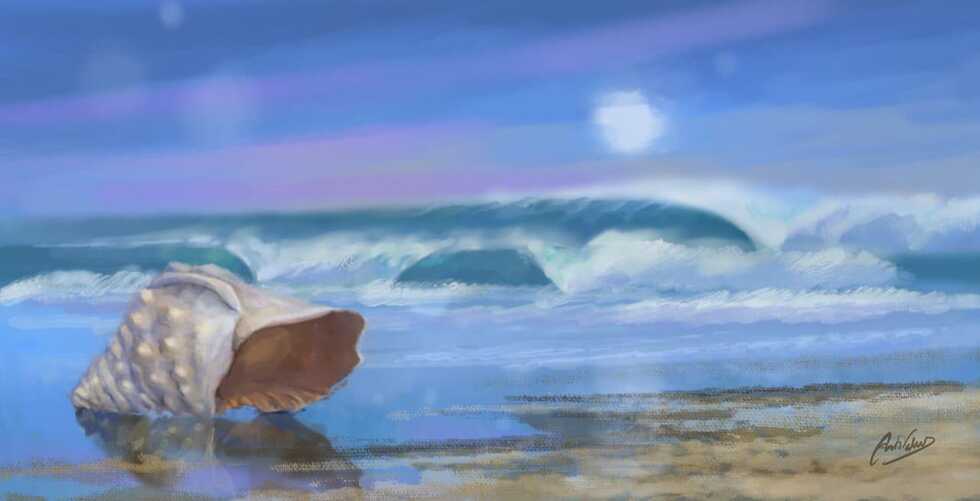 antoniojuanvalenciacaracola