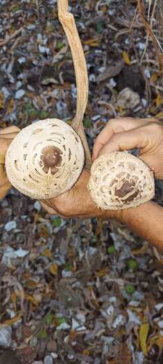 c7bcd5e5 5f84 4556 9b62 eafb270f1e9e