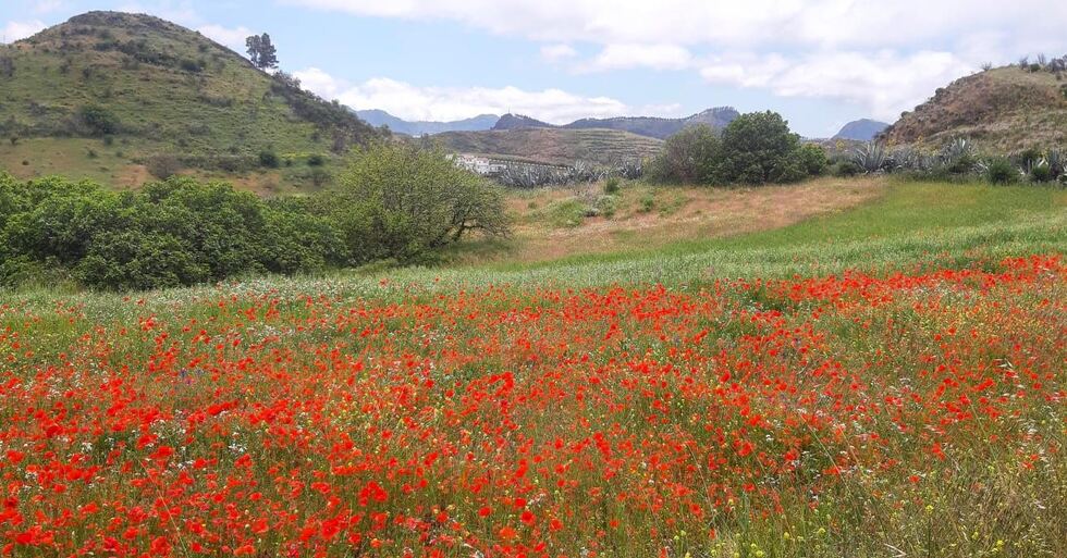 casadonaturaleza3