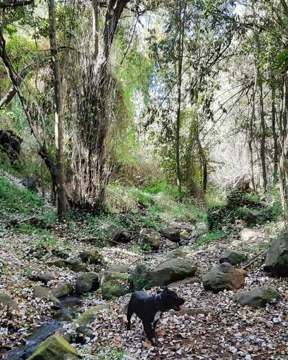 ece917df af3e 4d0b bfac b0d90e843fcf