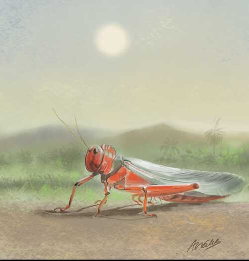 lacigarraantoniojvalenciamoreno