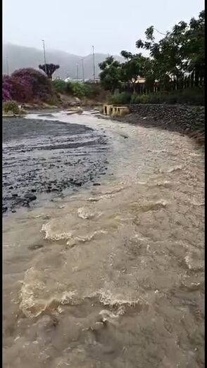 lloviendoamaresjuana