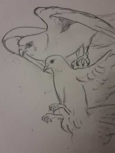 quiebroalafatalidadjuana