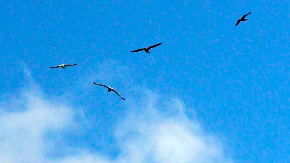 filomenaquicoespino03