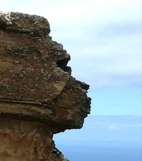 lanegradelandenverde01a