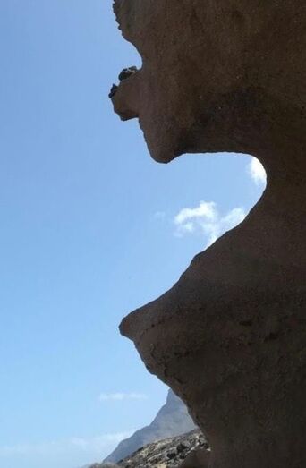 lanegradelandenverde03