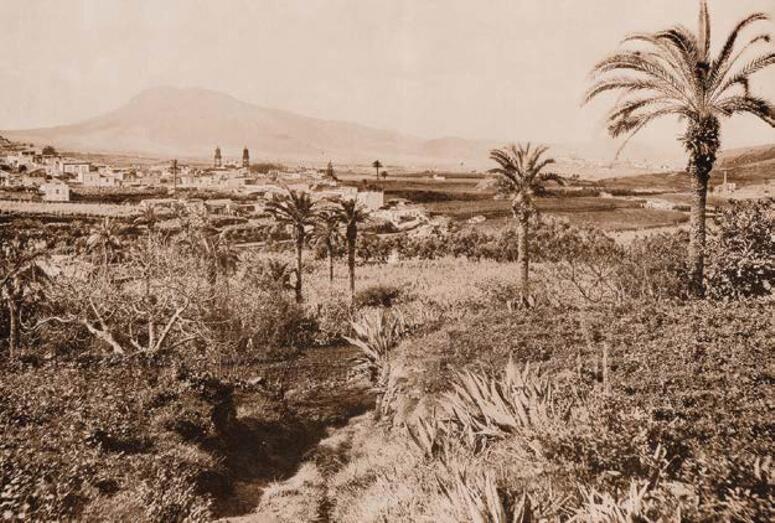  Panorámica de Guía a finales del siglo XIX. Foto de Carl Norman(FEDAC)