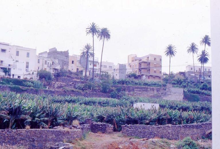 El Hotel Jucanca en su parte trasera y entre palmeras (Foto de Paco Rivero)