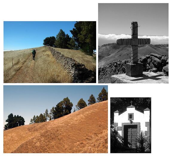  Camino de Santiago
