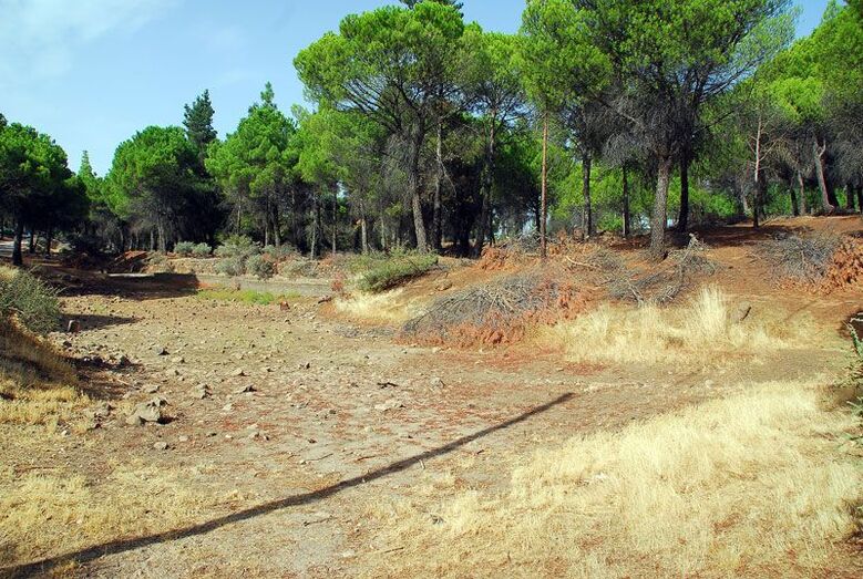 Embalse confluencia de cañadas y barranquillos