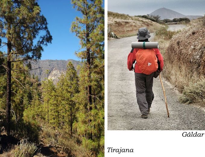  Camino de Santiago