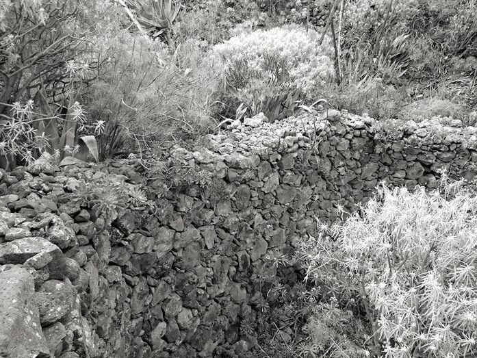 El muro perimetral de protección de LA CAMPANA
